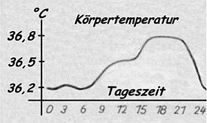 Schlaf und Schlafforschung - Diagramm - Temperaturgeflle im Tag- Nachtrhythmus